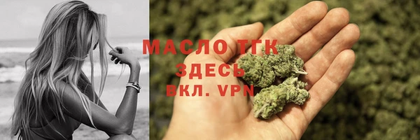 дживик Бородино
