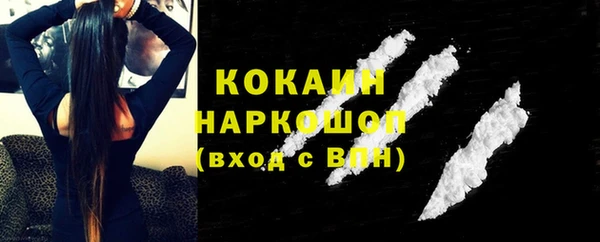 дживик Бородино