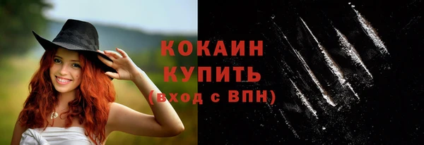 дживик Бородино