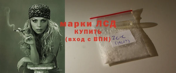 дживик Бородино