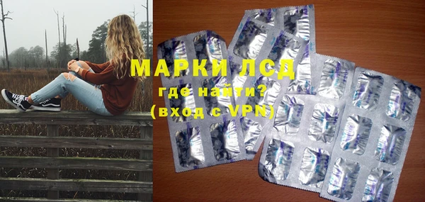 дживик Бородино