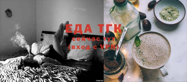 дживик Бородино